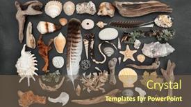  Presentation with nature - Slide deck having natural-assortment-of-nature-objects background and a tawny brown colored foreground