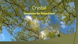  Presentation with blue sky - Colorful presentation theme enhanced with natural-background-bottom-view backdrop and a tawny brown colored foreground