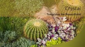  Presentation with cactus - Colorful presentation design enhanced with natural-background-cactus-close-up backdrop and a gold colored foreground