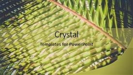  Presentation with nature big tree - Theme featuring natural background of palm tree background and a yellow colored foreground