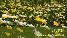  Presentation with meadow - PPT layouts consisting of natural-background-of-some-flowers background and a tawny brown colored foreground