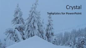  Presentation with winter forest - Audience pleasing PPT theme consisting of natural background on christmas theme backdrop and a light blue colored foreground