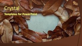  Presentation with clear - Amazing PPT theme having natural-background-with-clear-space backdrop and a tawny brown colored foreground