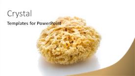  Presentation with natural - Amazing slide set having natural-bath-sponge-isolated backdrop and a white colored foreground
