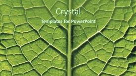  Presentation with natural - PPT theme featuring natural-beauties-of-our-planet background and a tawny brown colored foreground