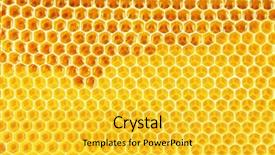  Presentation with honey bee honeycomb - Slides having natural bee honey in honeycomb background and a yellow colored foreground