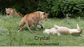  Presentation with behaviour - Presentation theme having natural behaviour of young female background and a violet colored foreground