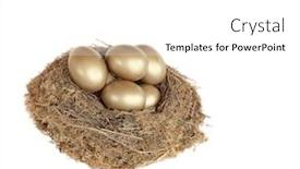  Presentation with bird eggs - Theme enhanced with natural-bird-nest-filled and a  colored foreground