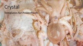  Presentation with market food - Theme having natural calamaties - close up food image background and a coral colored foreground