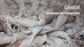  Presentation with monopoly and market competition in economics - Slide set having natural calamaties - fresh squid calamari at seafood background and a gray colored foreground