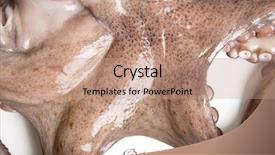  Presentation with octopus - Amazing PPT theme having natural calamaties - octopus closeup isolated on white backdrop and a coral colored foreground