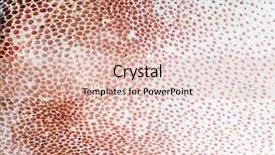  Presentation with skin - Amazing presentation theme having natural calamaties - skin cuttlefish texture backdrop and a lemonade colored foreground