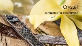  Presentation with vanilla - Slide set consisting of natural compounds - dried vanilla fruits and vanilla background and a  colored foreground