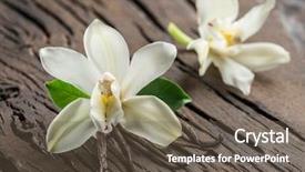  Presentation with vanilla - Audience pleasing slide deck consisting of natural compounds - dried vanilla sticks and vanilla backdrop and a  colored foreground