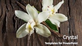  Presentation with dried vanilla pods and flowers - Slide deck enhanced with natural compounds - dried vanilla sticks and vanilla background and a  colored foreground