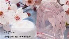  Presentation with cosmetics natural - 