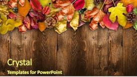  Presentation with aged wood - Beautiful theme featuring natural dark wooden background backdrop and a tawny brown colored foreground