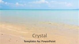  Presentation with starfish - Amazing slide set having natural-details-starfish-called-wanda backdrop and a lemonade colored foreground