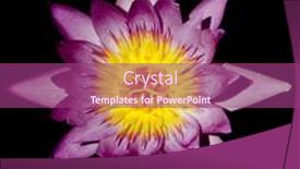  Presentation with serenity - 