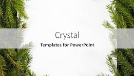  Presentation with frame border - Theme enhanced with natural-fir-christmas-tree-square background and a white colored foreground