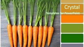  Presentation with carrots - Theme enhanced with natural food colours - fresh organic carrots on wooden background and a tawny brown colored foreground