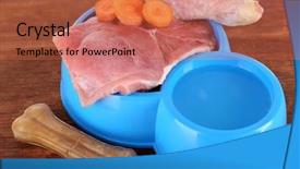  Presentation with pets - Presentation design with natural food for pets background and a red colored foreground