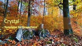  Presentation with sunny-fall - Presentation theme with natural forest in autumn fall sunny day colorful red yellow leaves background and a tawny brown colored foreground