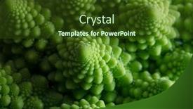  Presentation with cauliflower - Presentation theme enhanced with natural-fractals-romanesco-cauliflower-close background and a tawny brown colored foreground