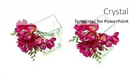  Presentation with pink and green nature - Slide deck consisting of natural-fresh-branches-pink-freesia background and a white colored foreground