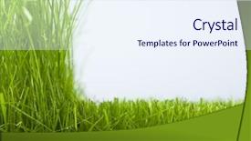  Presentation with cut - Beautiful slides featuring far space being shone nebula backdrop and a  colored foreground.