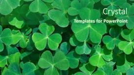  Presentation with focus - PPT theme having natural-green-background-with-fresh background and a forest green colored foreground