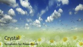  Presentation with focus - Colorful presentation theme enhanced with natural green background with selective backdrop and a  colored foreground