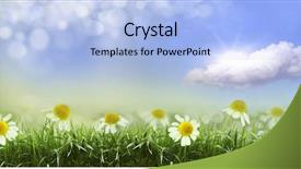  Presentation with india green natural - Presentation consisting of natural green background with selective background and a  colored foreground