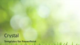  Presentation with light green - Audience pleasing PPT theme consisting of natural green background with selective backdrop and a yellow colored foreground