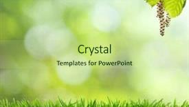  Presentation with focus - PPT layouts having natural green background with selective background and a mint green colored foreground