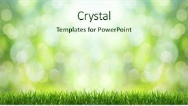  Presentation with focus - Beautiful slides featuring natural green background with selective backdrop and a cream colored foreground