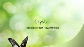  Presentation with green nature - Colorful presentation enhanced with natural green background with selective backdrop and a soft green colored foreground