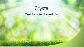  Presentation with focus - Presentation with natural green background with selective background and a sky blue colored foreground