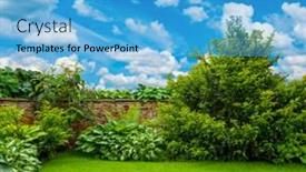  Presentation with botanical - Colorful presentation enhanced with natural-green-leaves-wall-background backdrop and a teal colored foreground