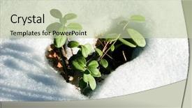  Presentation with early childhood brain development - Slide deck having natural grow - image of early sprout appearing background and a mint green colored foreground