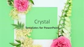  Presentation with white flower frame - Slide deck featuring natural-herbal-plant-based-medicine background and a mint green colored foreground