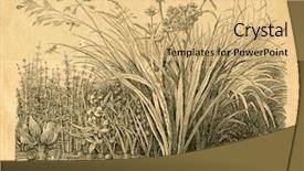  Presentation with old heritage christian - Slide deck having natural history - pond - old illustration background and a  colored foreground