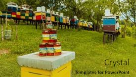  Presentation with natural products - PPT theme with natural-honey-products-photographed background and a gold colored foreground