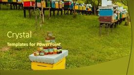  Presentation with natural products - Presentation theme having natural-honey-products-photographed background and a tawny brown colored foreground