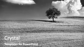  Presentation with black white tree - Slide set consisting of natural landscape conception of solitude background and a gray colored foreground
