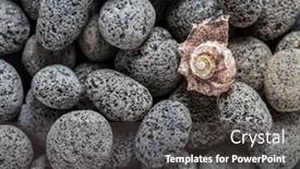  Presentation with seashell - Slide set enhanced with natural-lava-stones-with-seashell background and a dark gray colored foreground