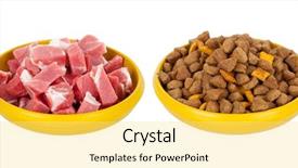  Presentation with meat food - PPT theme having natural meat dog food background and a yellow colored foreground