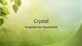  Presentation with spring - PPT layouts consisting of woman hands holding red currants in the shape of heart summertime currants held by woman hands shaping heart background and a coral colored foreground