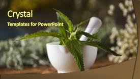  Presentation with ayurvedic medicine and nature spa - PPT layouts with natural medicine on wooden table background and a  colored foreground