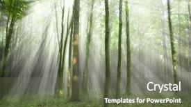  Presentation with forest in africa - PPT layouts featuring natural morning - fairytale forest sunlight and shadows background and a tawny brown colored foreground